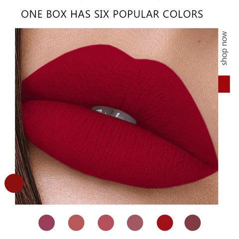 6 Pcs Matte Liquid Lipsticks